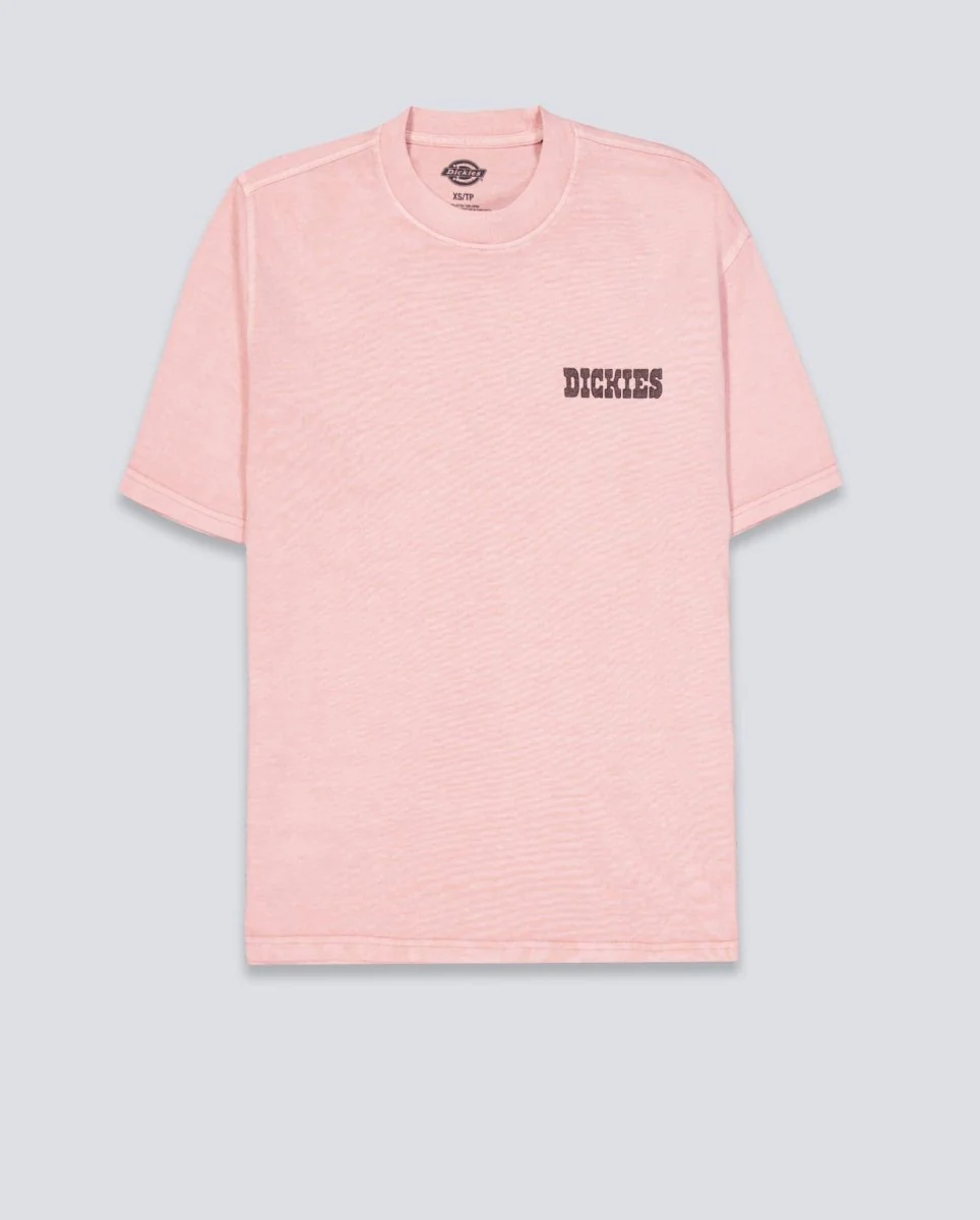 Camiseta Dickies Buchtell Rosa Hombre