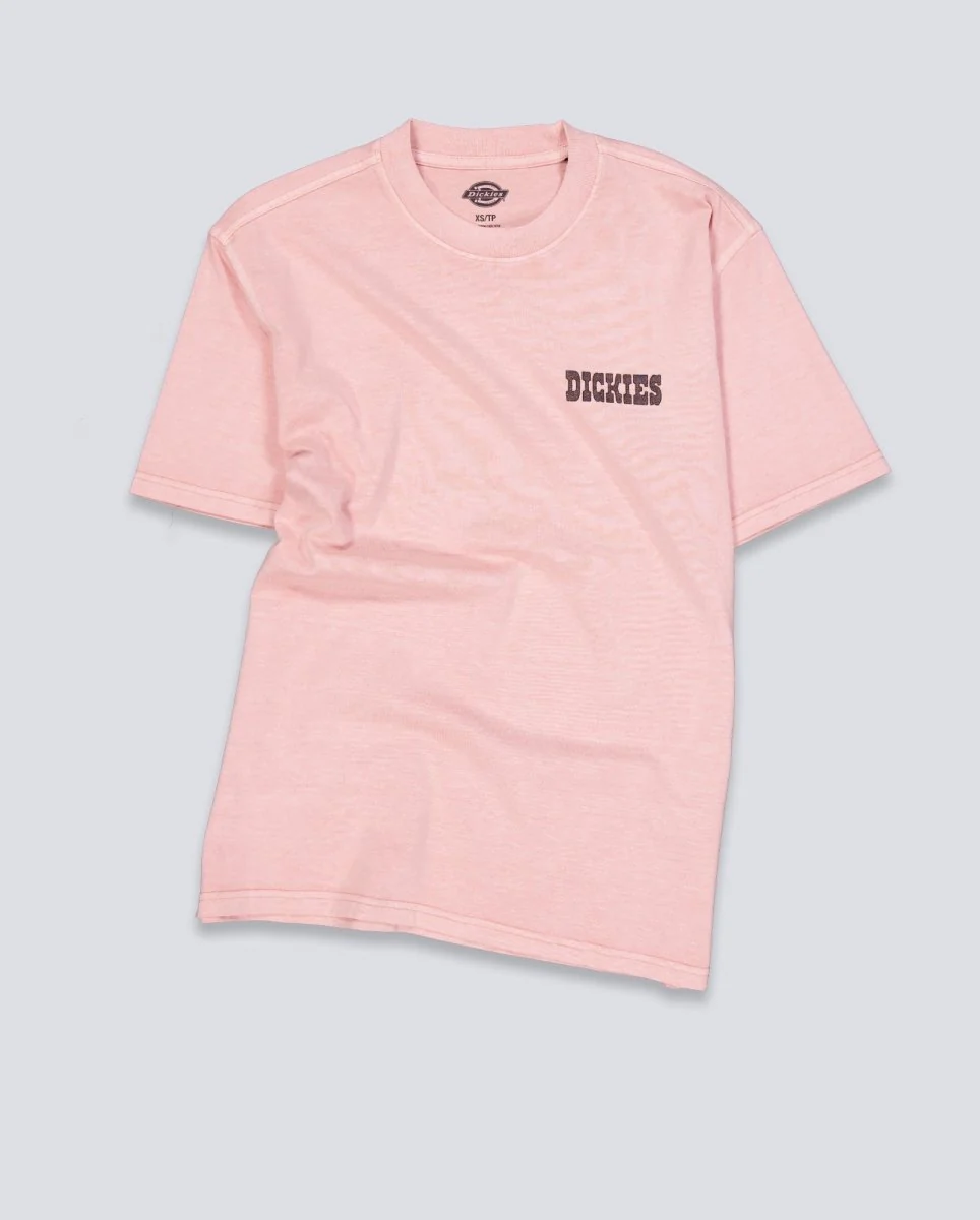 Camiseta Dickies Buchtell Rosa Hombre - Image 2