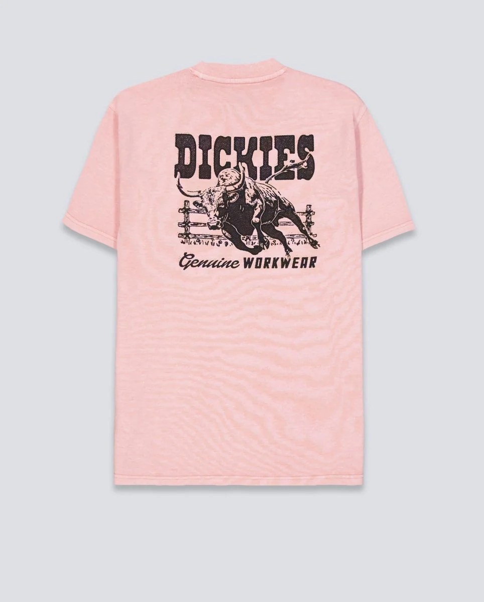 Camiseta Dickies Buchtell Rosa Hombre - Image 3