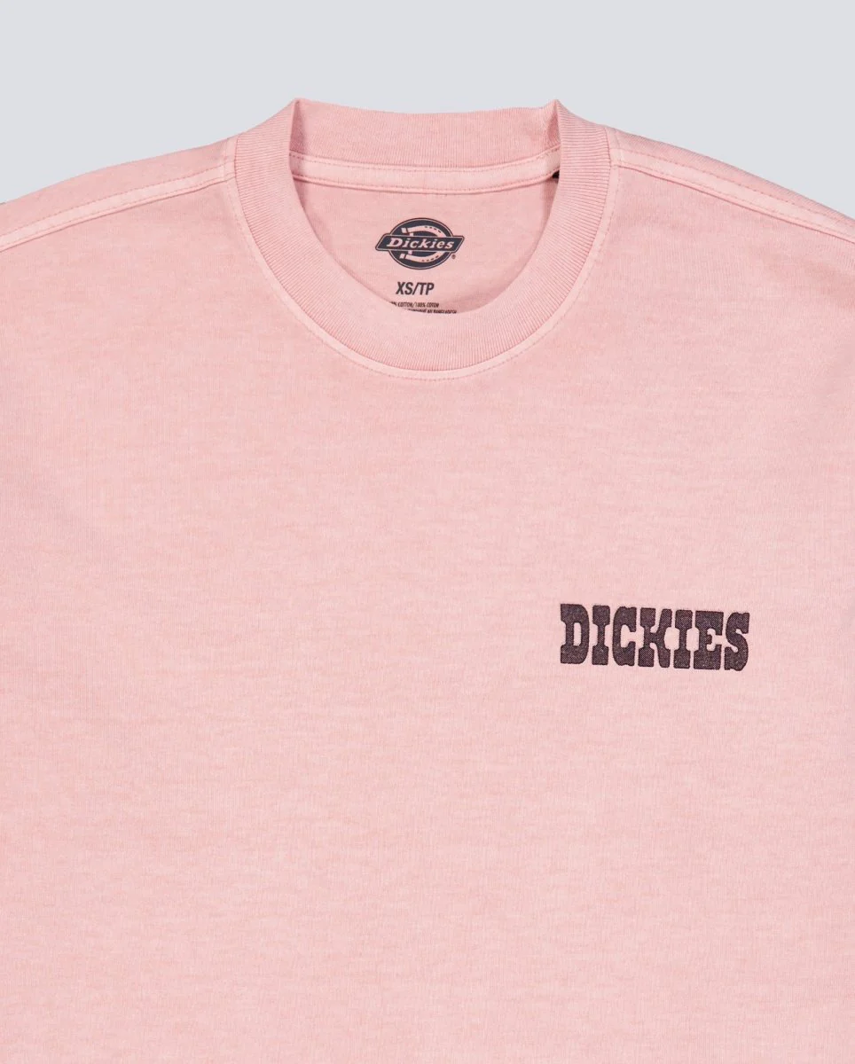 Camiseta Dickies Buchtell Rosa Hombre - Image 5
