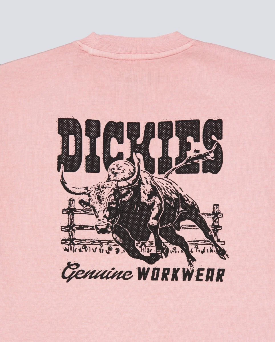 Camiseta Dickies Buchtell Rosa Hombre - Image 6