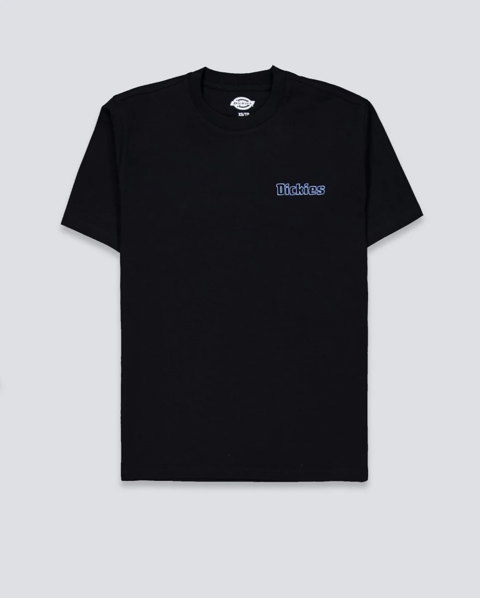 Camiseta Dickies Fairlawn Negro Unisex