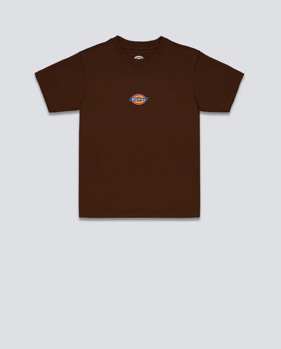 Camiseta Dickies Maple Valley Reg Tee Marrón Mujer