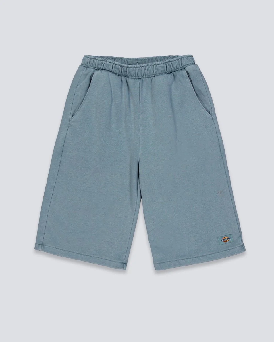 Pantalón corto Dickies Streetsboro Azul Hombre