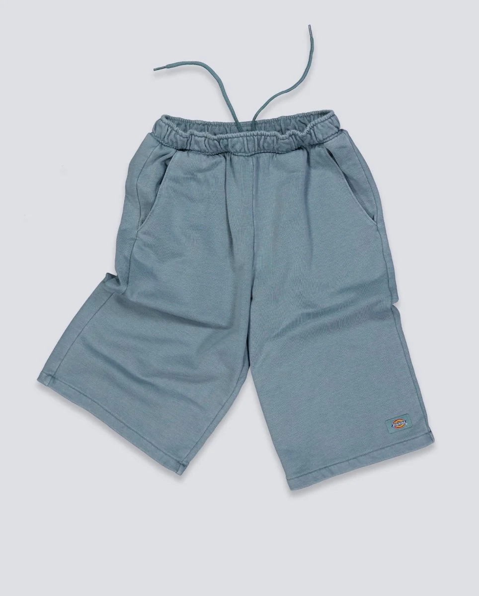 Pantalón corto Dickies Streetsboro Azul Hombre - Image 2