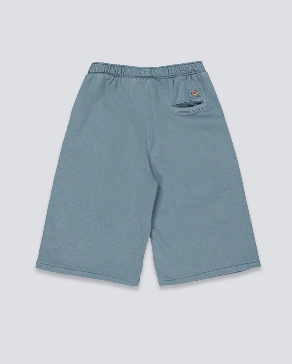 Pantalón corto Dickies Streetsboro Azul Hombre - Image 3