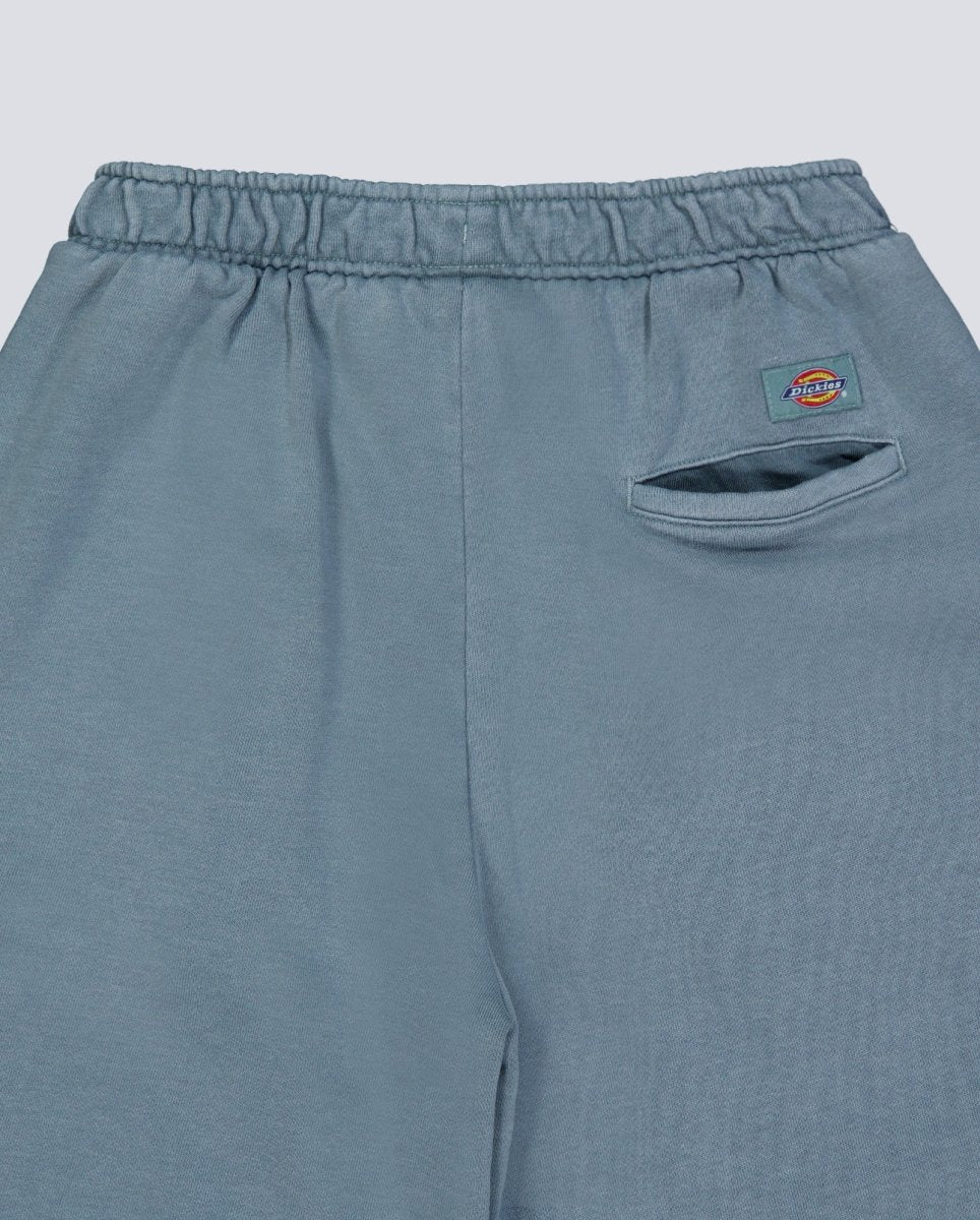 Pantalón corto Dickies Streetsboro Azul Hombre - Image 5