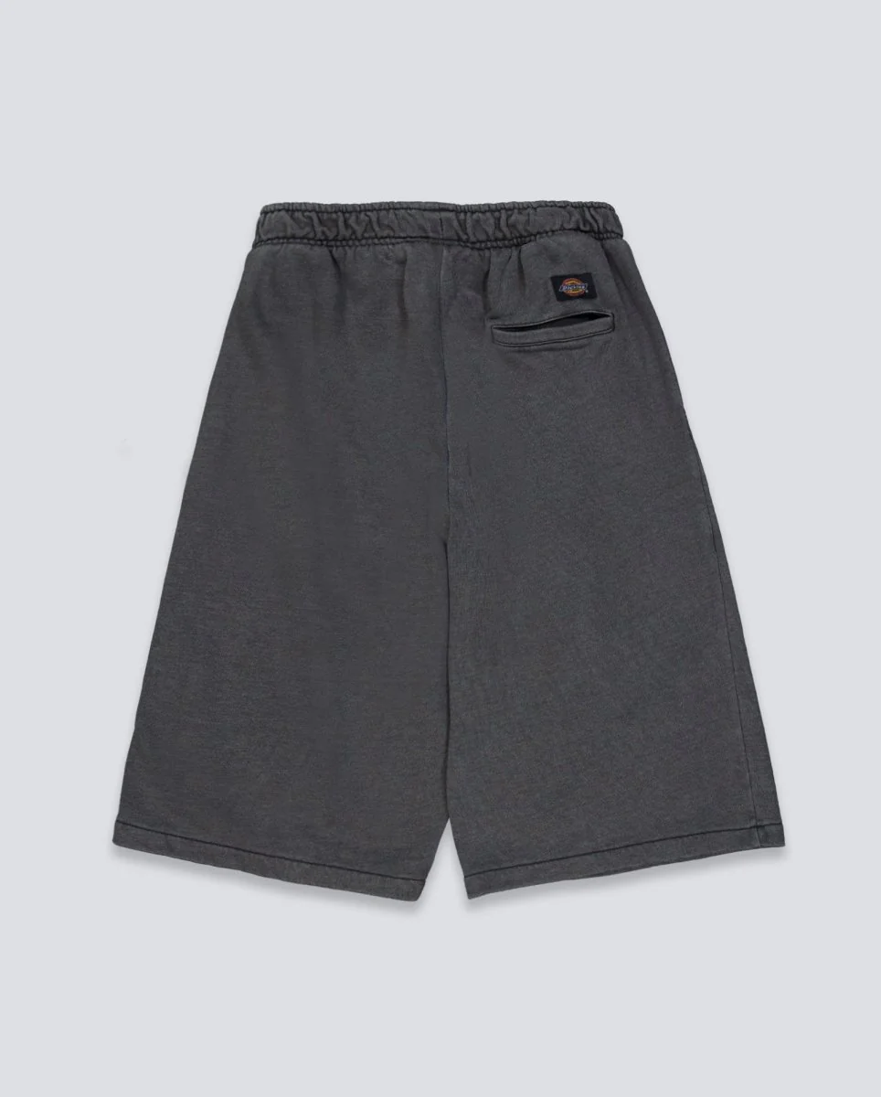 Pantalón Corto Dickies Streetsboro Gris Hombre - Image 3